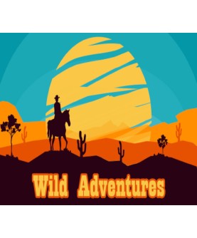 Wild Adventures Steam Key GLOBAL